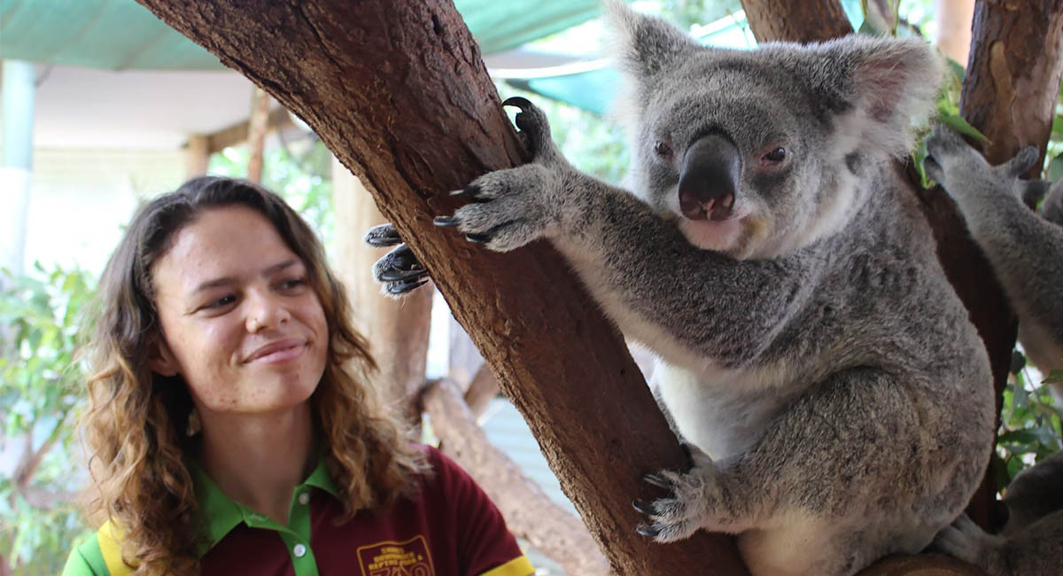 Woman smiling at koala in a tree