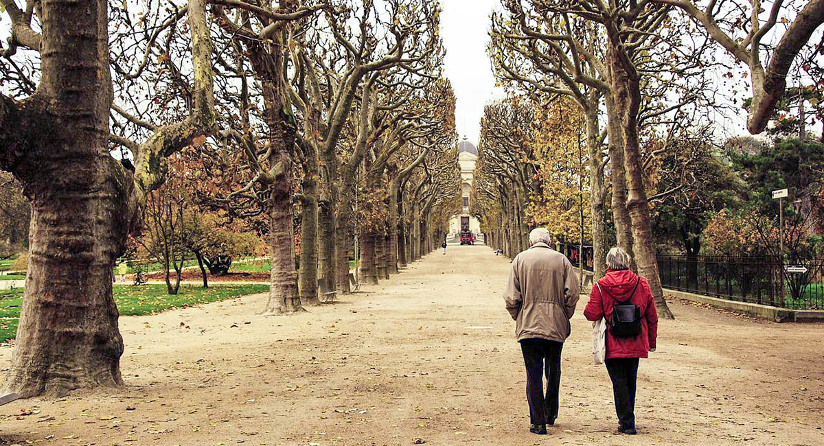 Older man and woman walking away in park