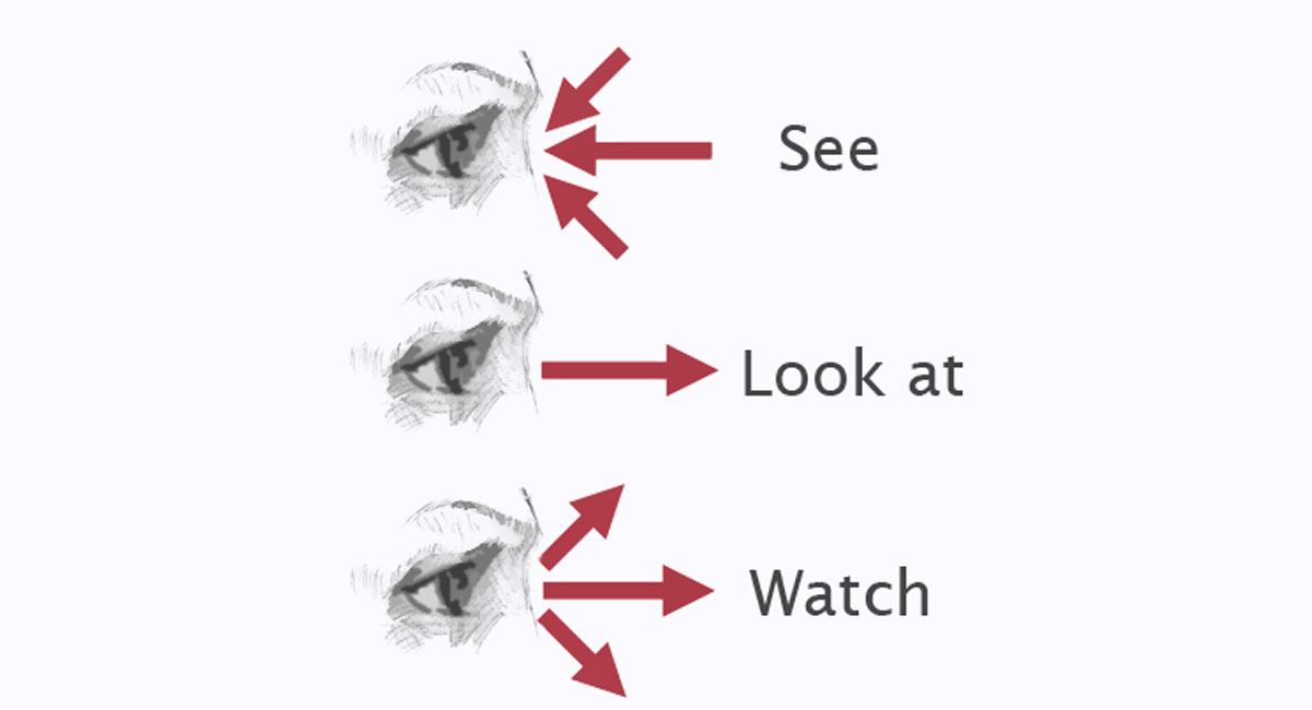 A comparison of the English verbs "look at", "watch" and "see".