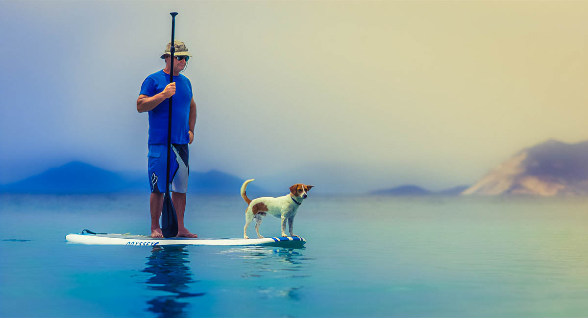 man and dog standing on paddleboard