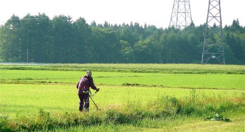 Person working in field, Aomori, Japan