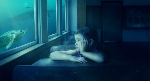 Young girl in classroom looking out the window at undersea scene with turtle