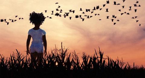Little girl at sunset watching a flock of geese fly overhead