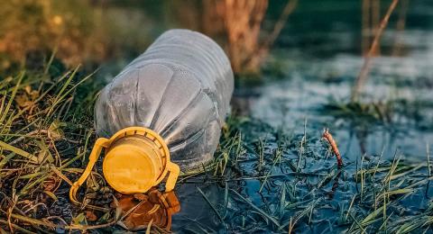 discarded plastic bottle in marsh