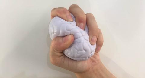 Hand squeezing rubber brain