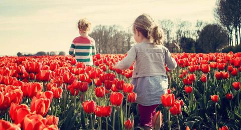 children running through field of red tulips