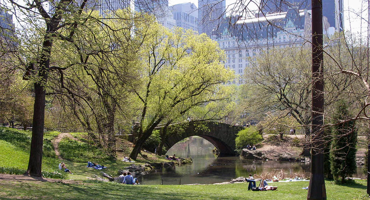 Central Park in New York City, with city buildings in background