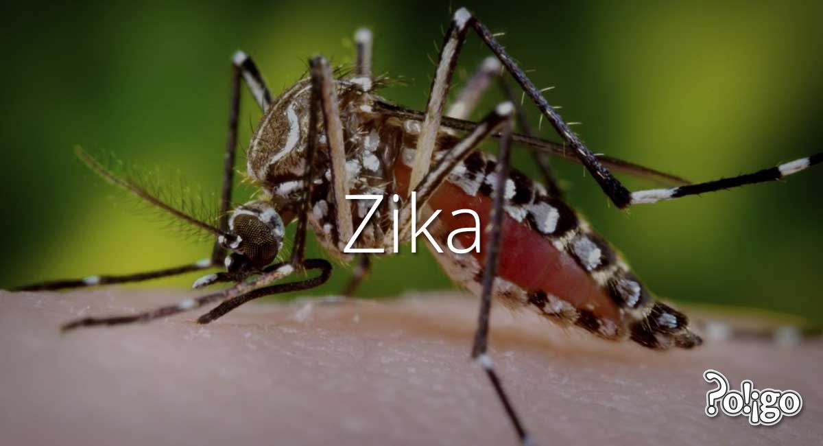 Zika 